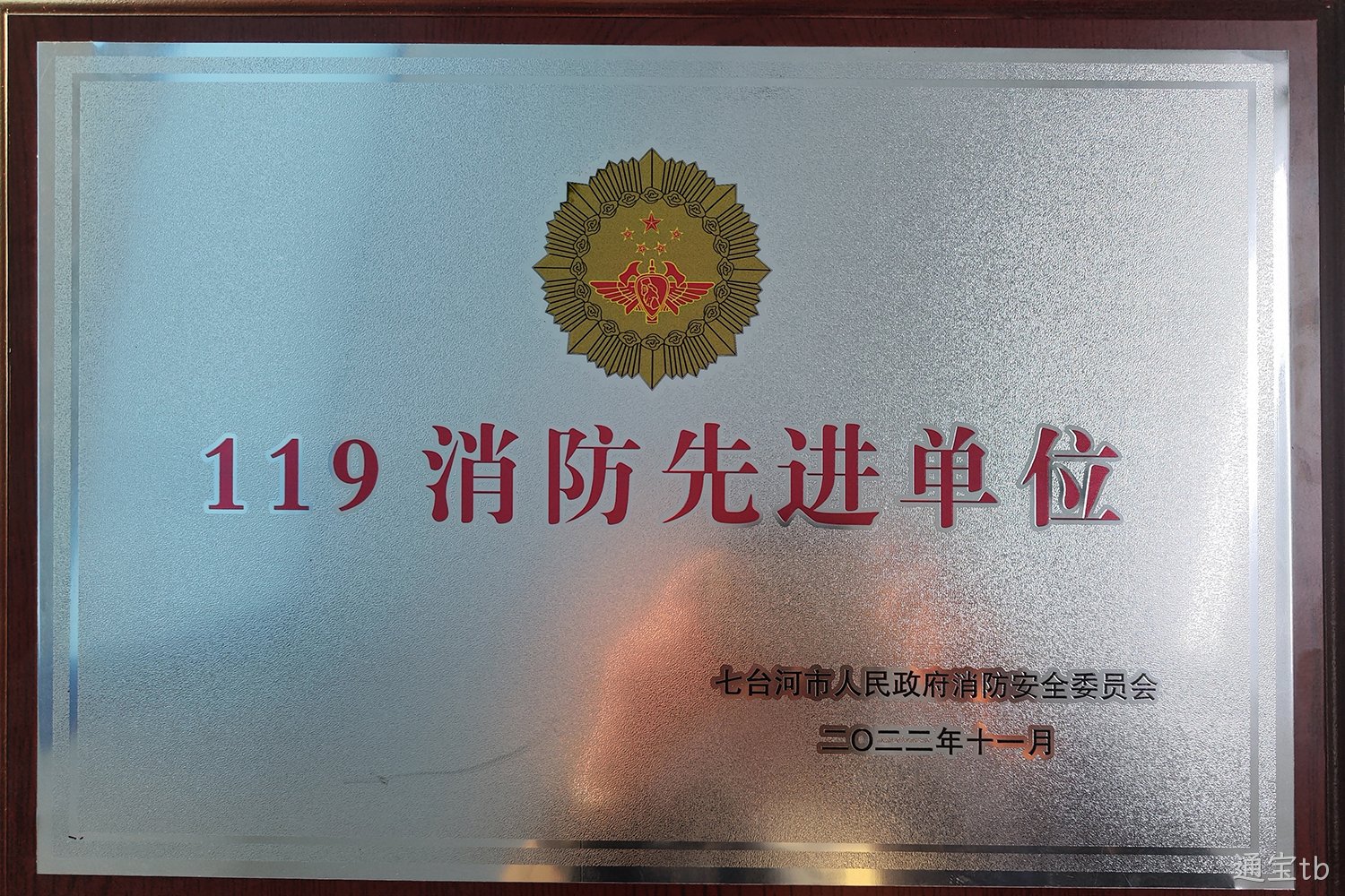 2022年被评七台河市“119消防先进单位”(图1)